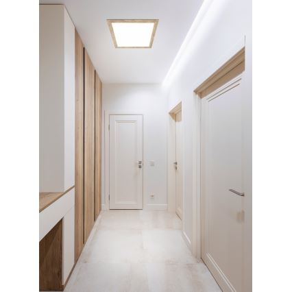 Eglo - LED taklampa LED/32W/230V 645x645 mm