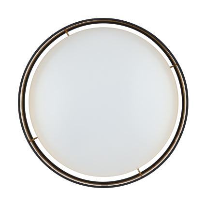 Eglo 99539 - LED Takbelysning MASERLO LED/24W/230V