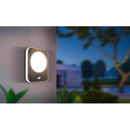 Eglo - LED Utomhus väggbelysning med en sensor LED/9W/230V IP44