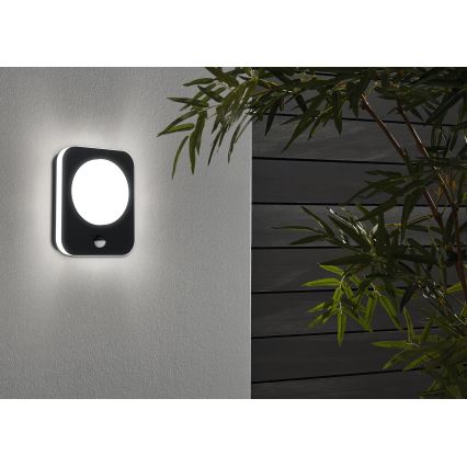 Eglo - LED Utomhus väggbelysning med en sensor LED/9W/230V IP44