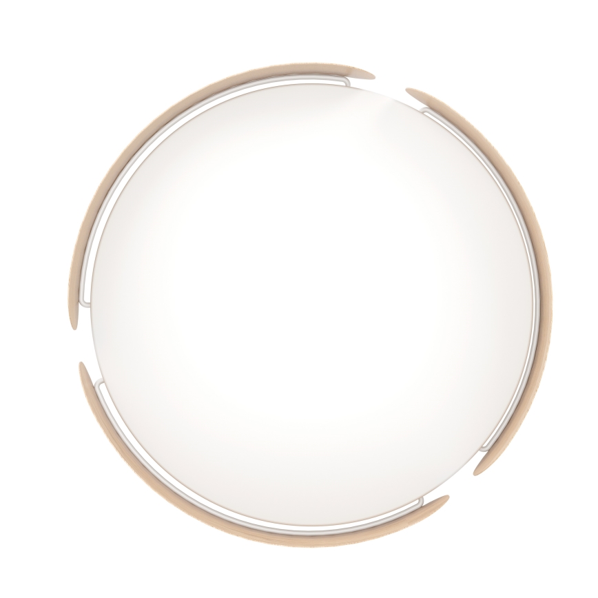 Eglo - LED taklampa  LED/24W/230V