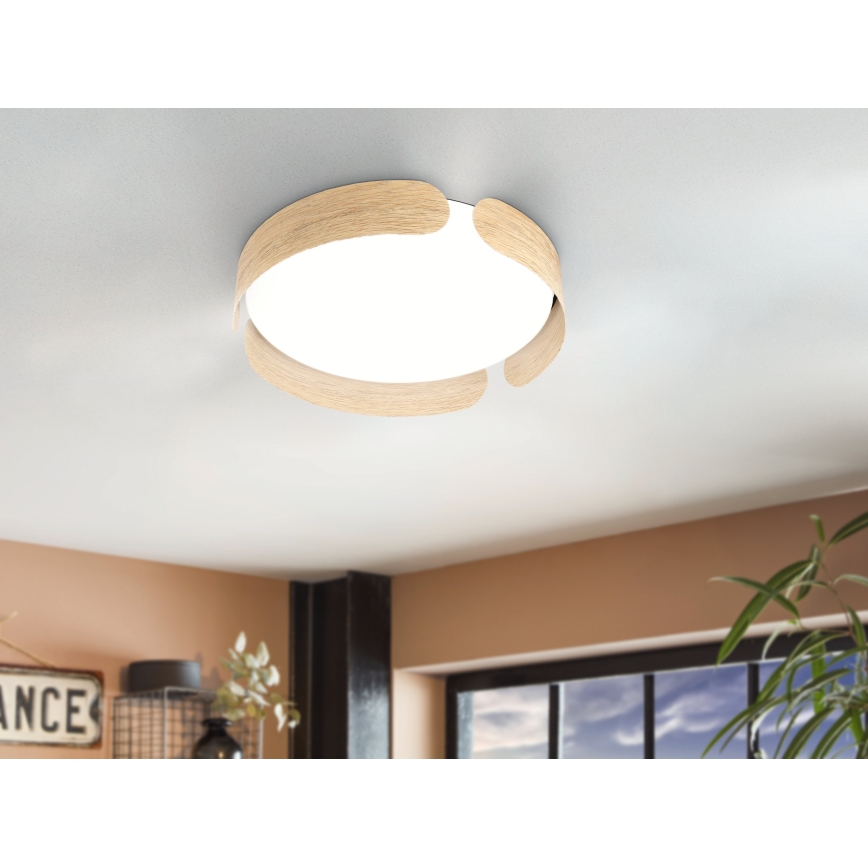 Eglo - LED taklampa  LED/24W/230V