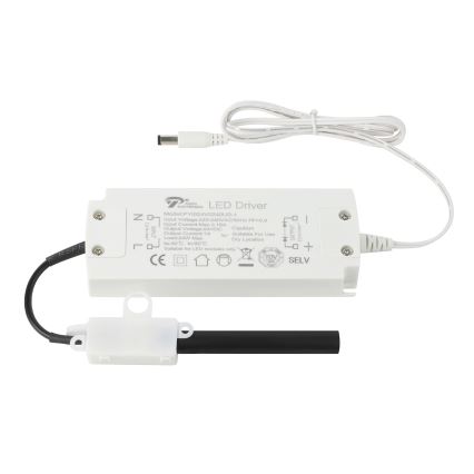 Eglo - LED ljusslinga  8m LED/43,2W/24/230V 3000K
