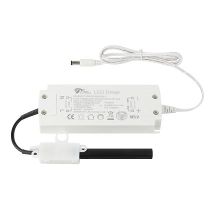 Eglo - LED ljusslinga  8m LED/43,2W/24/230V 4000K