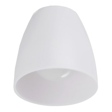 Eglo - Ersättningslampskärm för vägglampa DAKAR diameter 7 cm