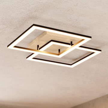 Eglo - Fäst LED ljusreglerad ljuskrona 4xLED/16W/230V 2700-6500K