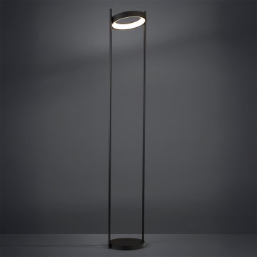 Eglo - LED Dimbar golvlampa LED/20W/230V 3000K svart