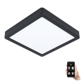 Eglo - LED ljusreglerad badrumstakbelysning LED/16,5W/230V IP44 ZigBee