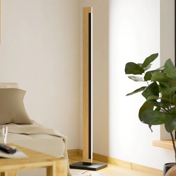 Eglo - LED Ljusreglerad beröring golvlampa CAMACHO LED/22W/230V