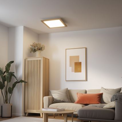Eglo - LED Ljusreglerad fäst panel SALOBRENA 2 WOOD LED/25W/230V 4000K 49,5x49,5 cm brun