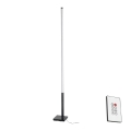 Eglo - LED ljusreglerad golvlampa LED/14W/230V 2700-6500K + fjärrkontroll