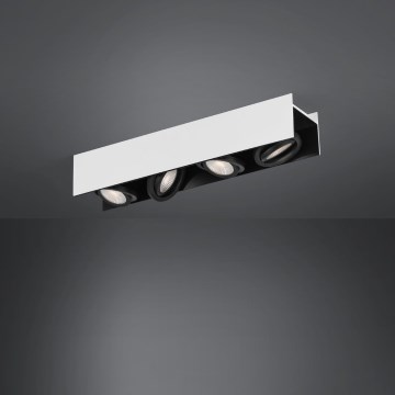 Eglo - LED ljusreglerad spotlight 4xLED/5,4W/230V