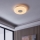 Eglo - LED ljusreglerad taklampa  LED/44,8W/230V 2700-6500K ZigBee