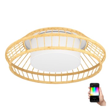 Eglo - LED RGBW Dimbar taklampa LED/22W/230V 2700-6500K
