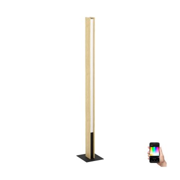 Eglo - LED RGBW Ljusreglerad golvlampa LED/35W/230V 2700-6500K
