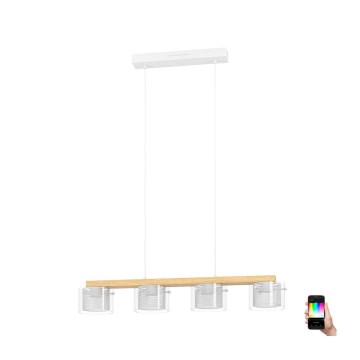 Eglo - LED RGBW Ljusreglerad ljuskrona på textilsladd 4xLED/3,7W/230V 2700-6500K
