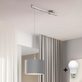 Eglo - LED Taklampa CALCENA 1xE27/60W/230V krom/grå