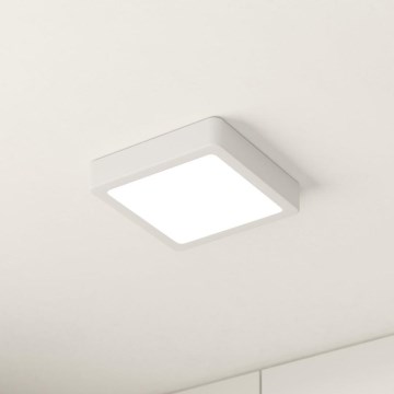 Eglo - LED taklampa LED/10,5W/230V 16x16 cm