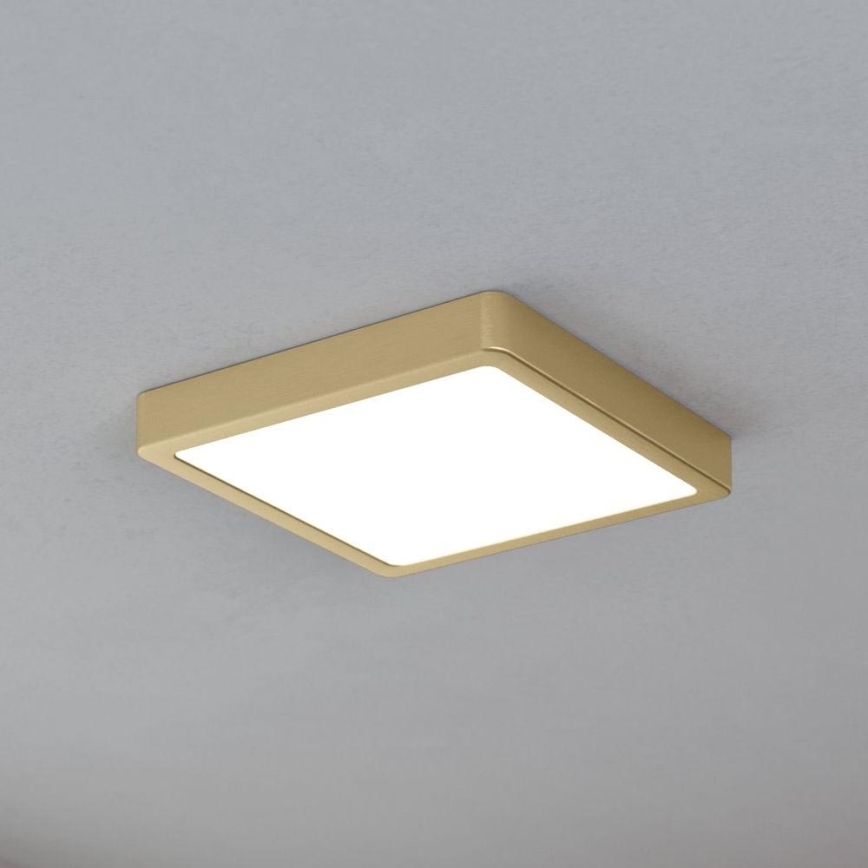 Eglo - LED-taklampa LED/17W/230V 21x21 cm