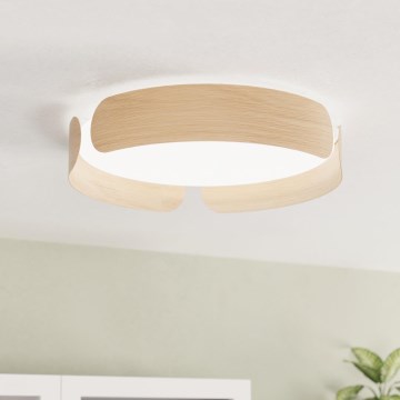 Eglo - LED taklampa  LED/24W/230V