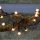 Eglo - LED utomhus julkedja  300xLED/8 funktioner 11m IP44 varm vit 