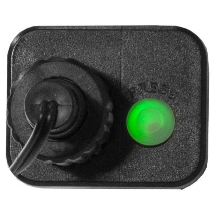 Eglo - LED utomhus julkedja  300xLED/8 funktioner 11m IP44 varm vit 