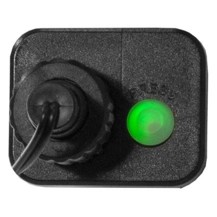 Eglo 472-53 - LED utomhus julkedja  BERRY MINI 700xLED/8 funktioner 14m flerfärgade IP44