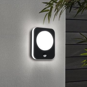Eglo - LED Utomhus väggbelysning med en sensor LED/9W/230V IP44