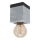 Eglo - Taklampa  1xE27/40W/230V