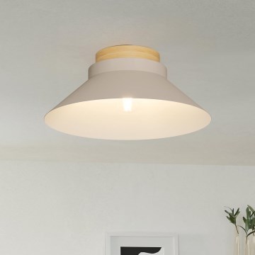 Eglo - Taklampa 1xE27/40W/230V