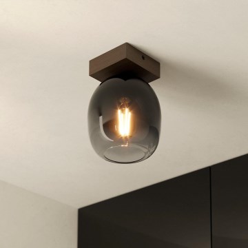 Eglo - Taklampa 1xE27/40W/230V