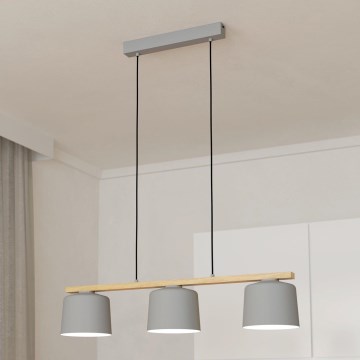 Eglo - Taklampa med 3xE27/40W/230V