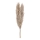 Eglo - Torkade blommor 55 cm beige