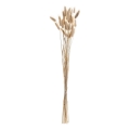 Eglo - Torkade blommor 60 cm beige