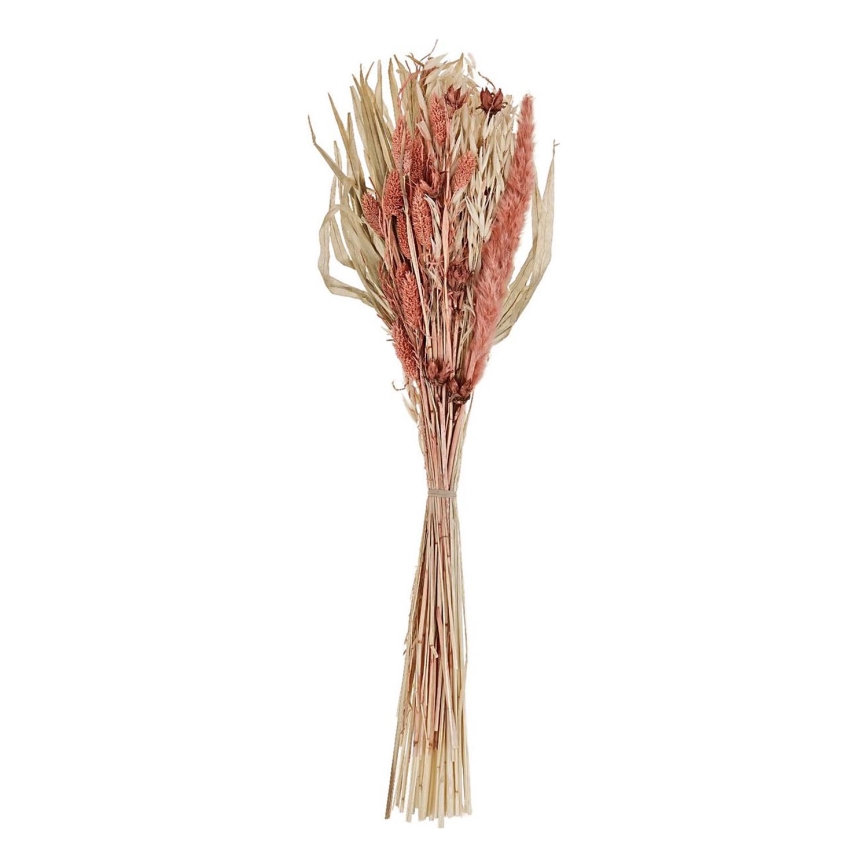 Eglo - Torkade blommor 60 cm orange