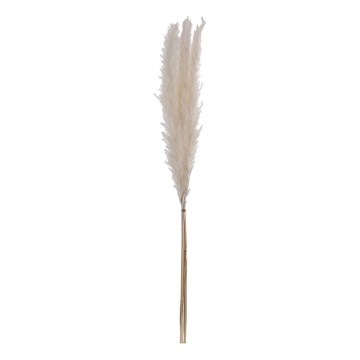Eglo - Torkade blommor 70 cm vit