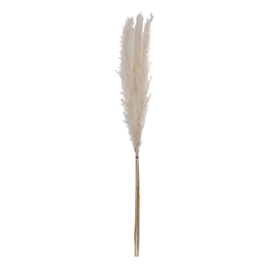 Eglo - Torkade blommor 70 cm vit