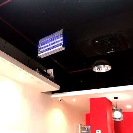 Elektrisk insektszapper 2x10W/230V 80 m²