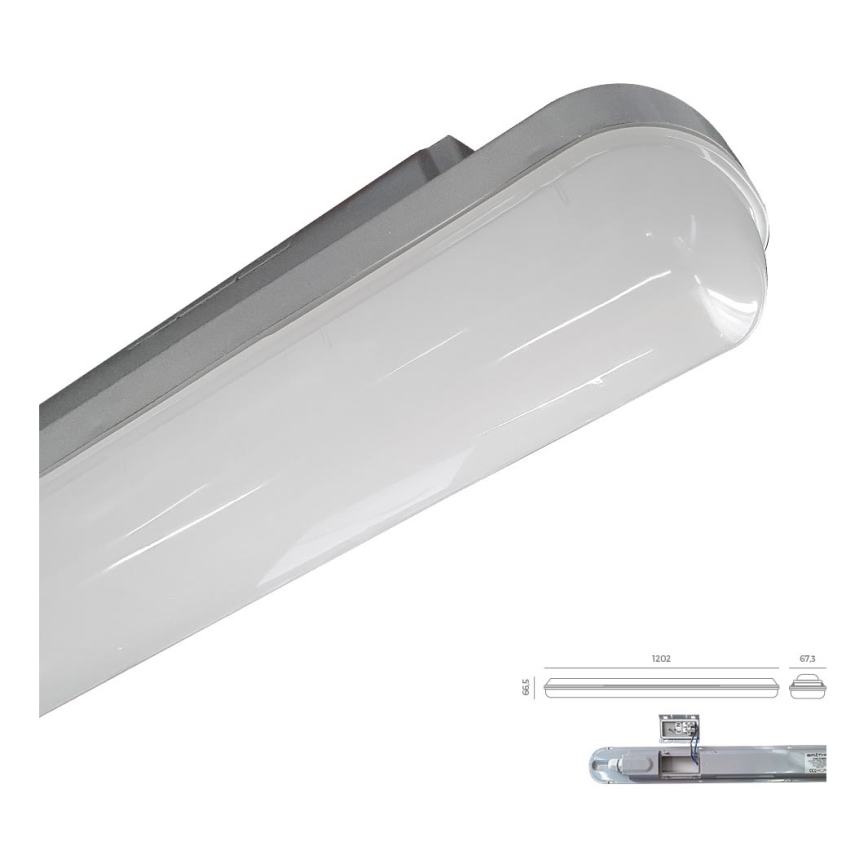 Emithor 31602 - LED Technical ljus ELMINA LED/36W/230V IP65