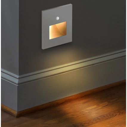 Emithor 70416 - LED trappbelysning with a sensor SUNNY LED/1W/230V 4000K grå
