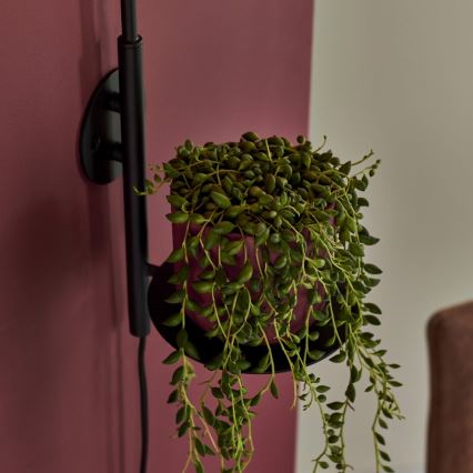 Endon 92726 - Vägglampa HALO 1xG9/3W/230V svart