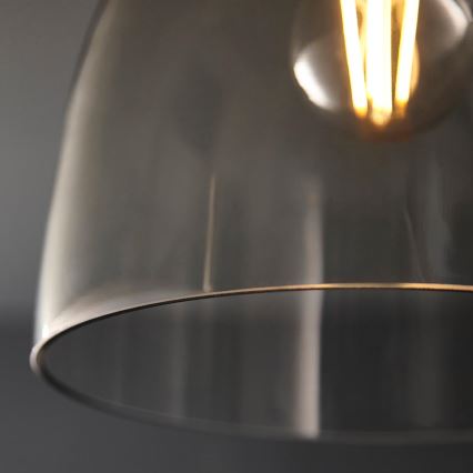 Endon 99106 - Taklampa URBAN 1xE27/10W/230V svart/genomskinlig