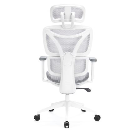 Ergonomisk kontorsstol LEVANO grå/vit/svart