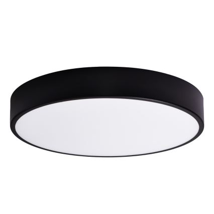 Esrättningsglas CLEO 60 cm glas