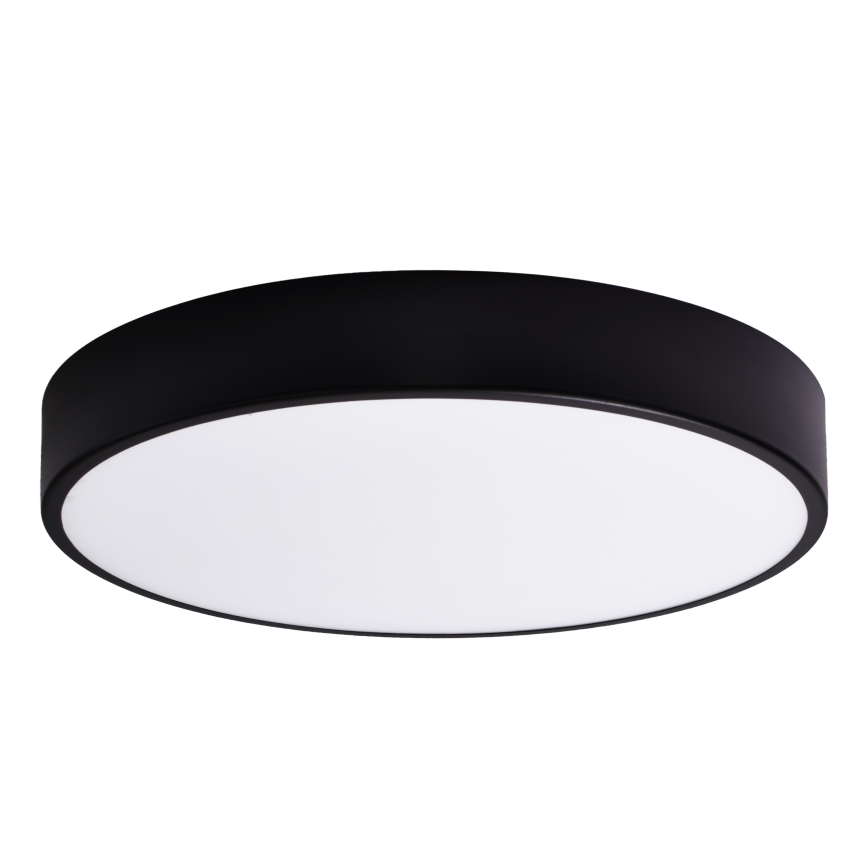 Esrättningsglas CLEO 60 cm glas