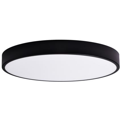 Esrättningsglas CLEO 80 cm glas