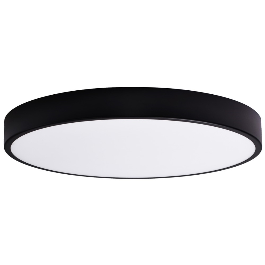 Esrättningsglas CLEO 80 cm glas