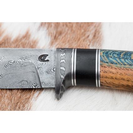 Exklusiv Damaskus kniv 12,7 cm ek/ebenholts