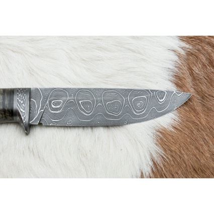 Exklusiv Damaskus kniv 12,7 cm lönn/agat