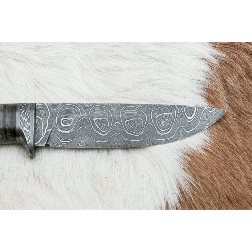 Exklusiv Damaskus kniv 12,7 cm lönn/agat